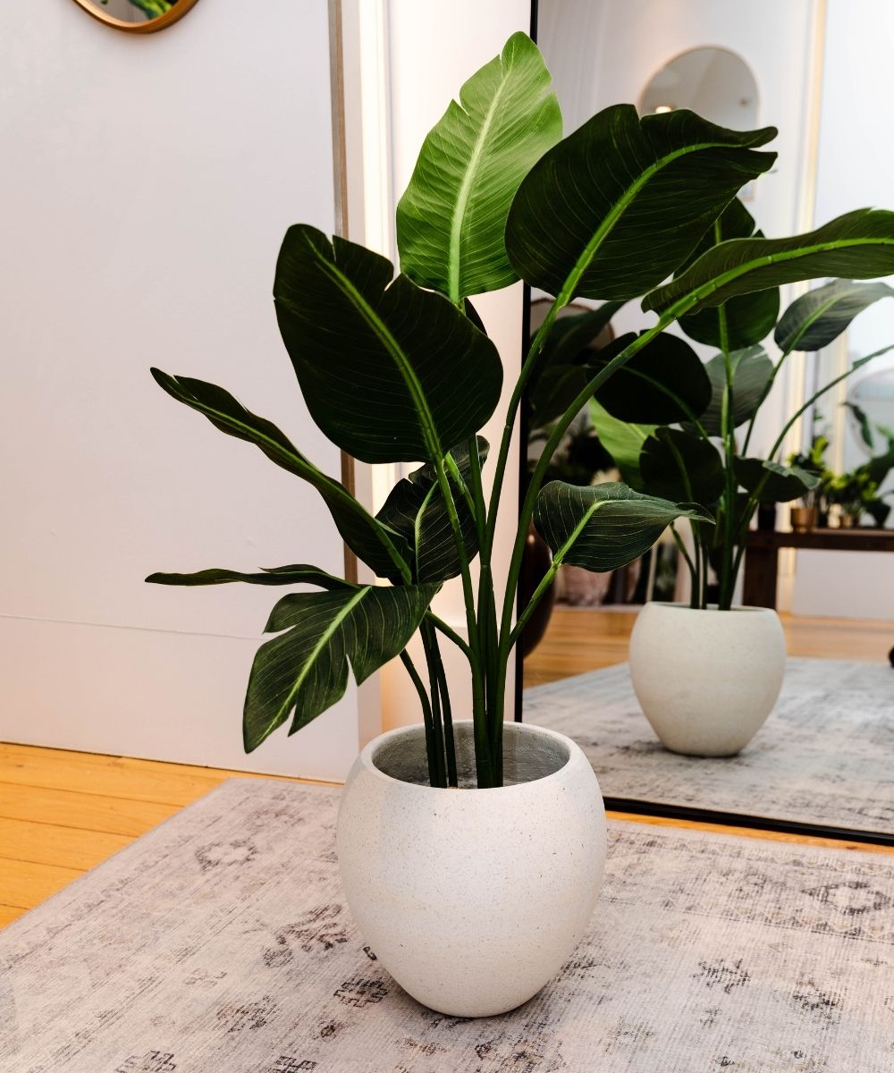 Boho Artificial Bird Of Paradise Potted Plant 43''