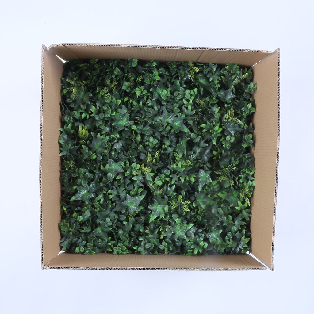 Granada (box of 12)