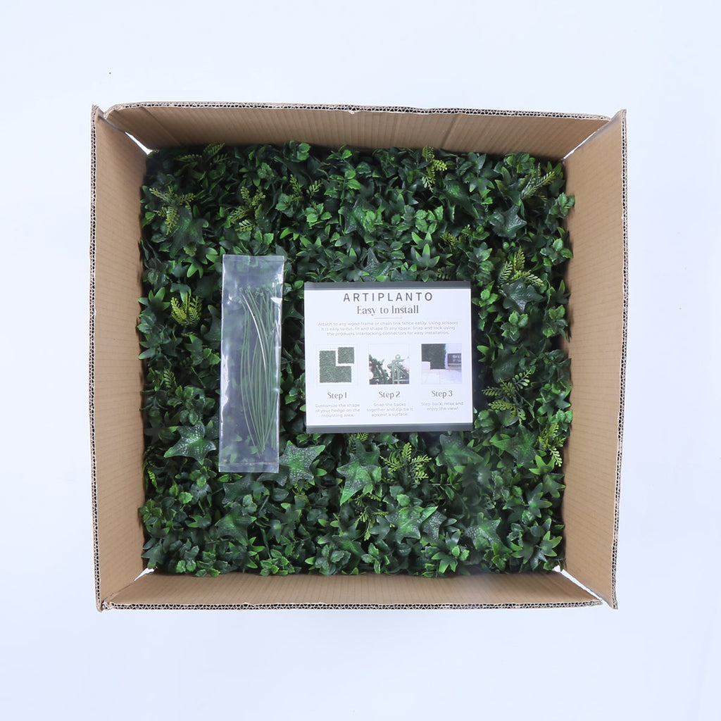 Granada (box of 12)