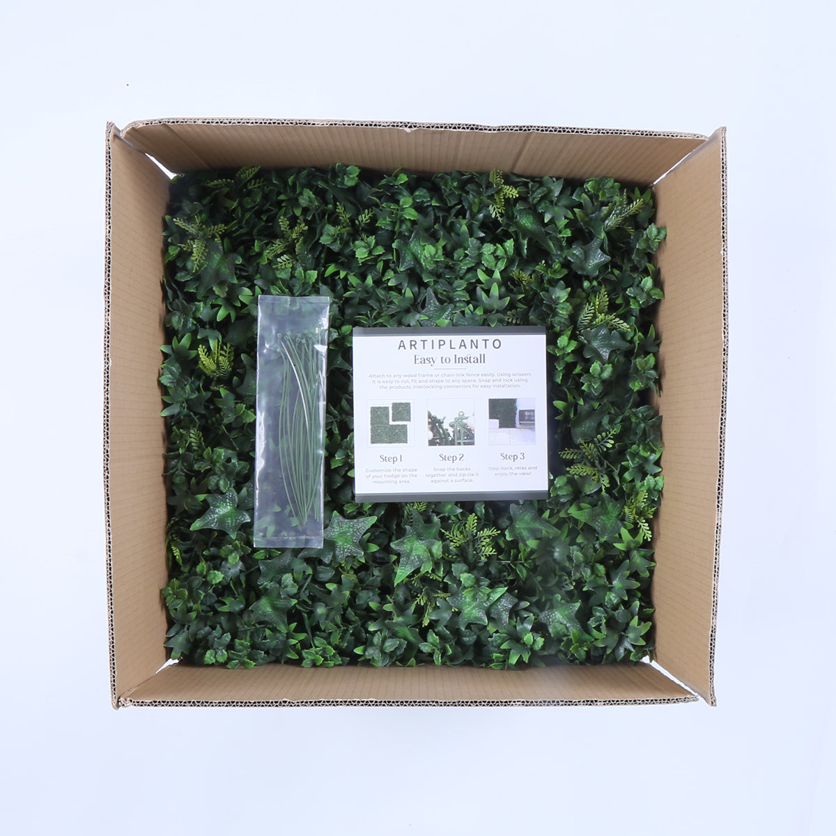 Granada (box of 12)