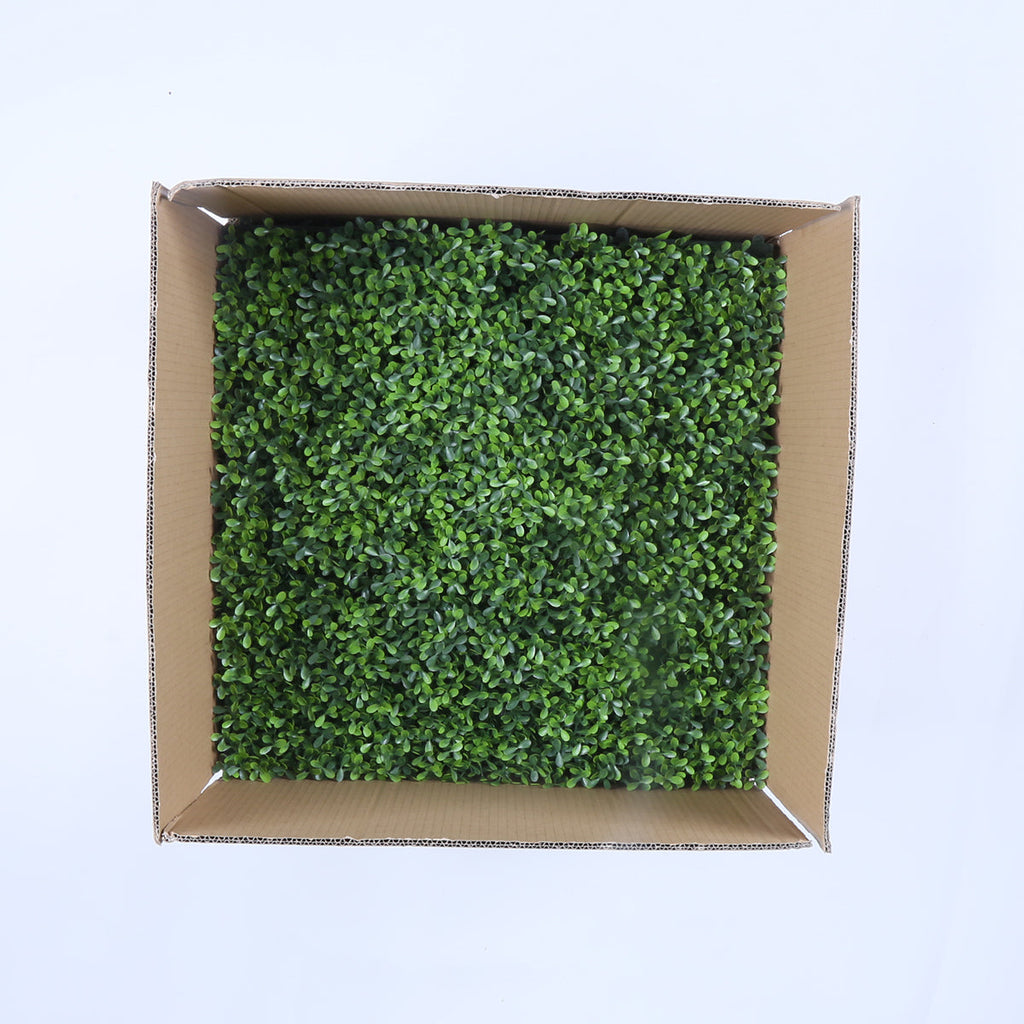 Valencia (box of 12)