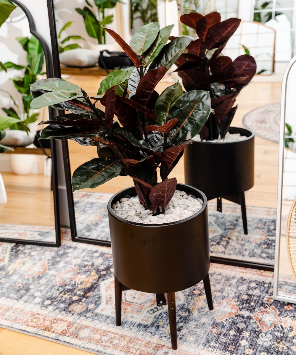 Salamina Artificial Rubber Potted Plant 3'