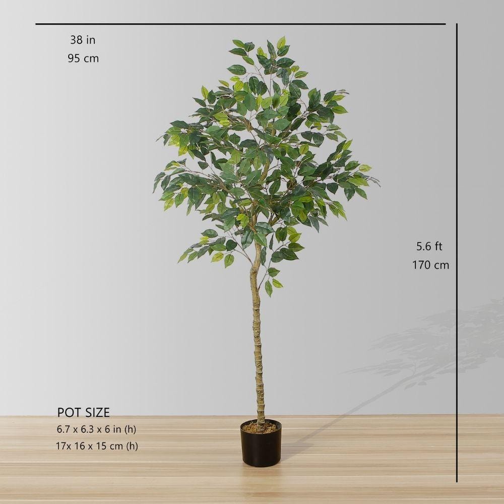 Figgi Artificial Ficus Tree Potted Plant (Multiple Sizes)