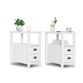 2 Piece Bedside Nightstand Set with 2 Drawers and Shelf, White