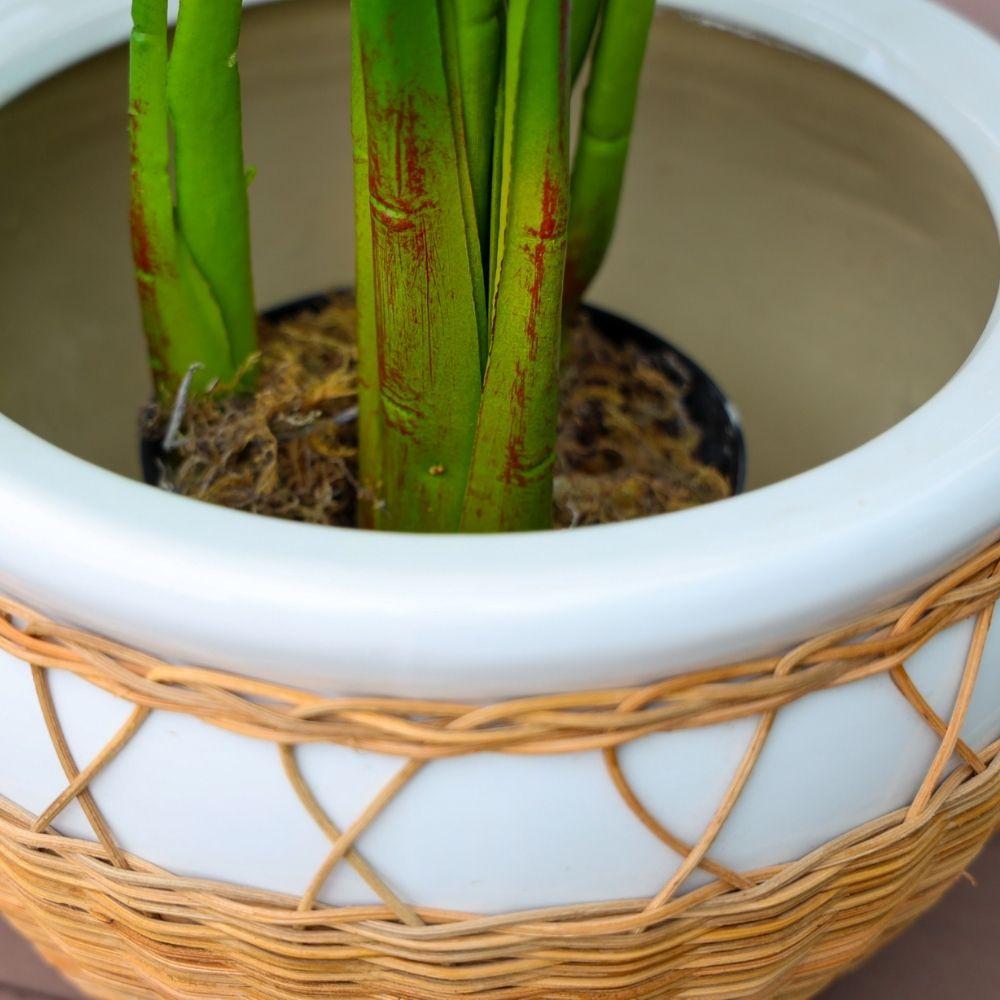 Pura Ceramic Planter 12''