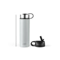 Bouteille d'eau isotherme double paroi en acier inoxydable de 650 ml avec 2 couvercles et paille - Grise