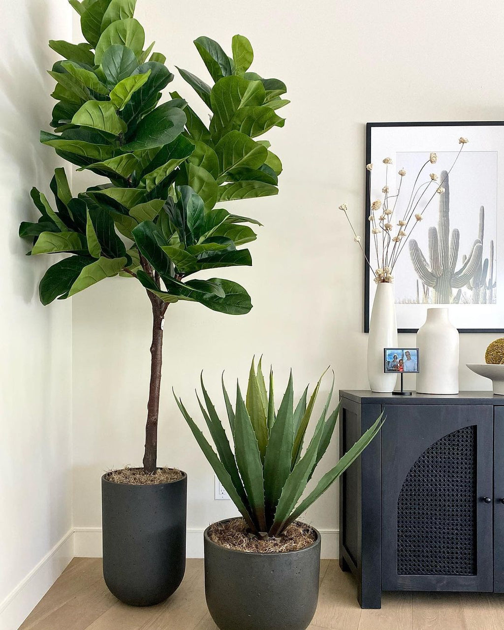 Tunja Artificial Century Potted Plant (Multiple Sizes)