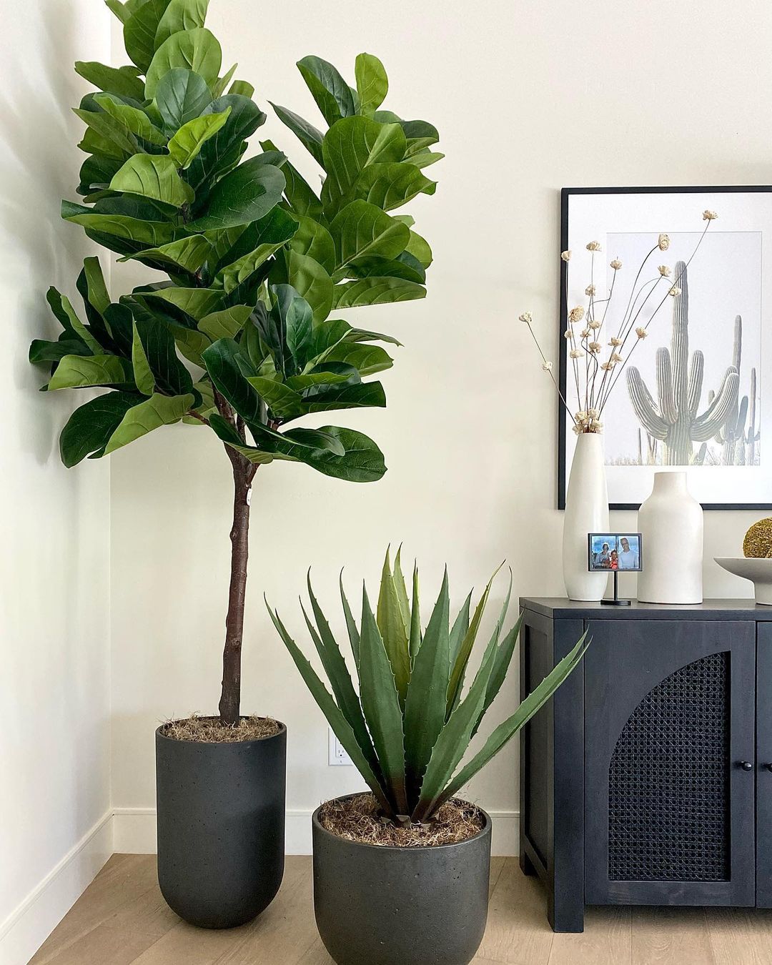 Tunja Artificial Century Potted Plant (Multiple Sizes)