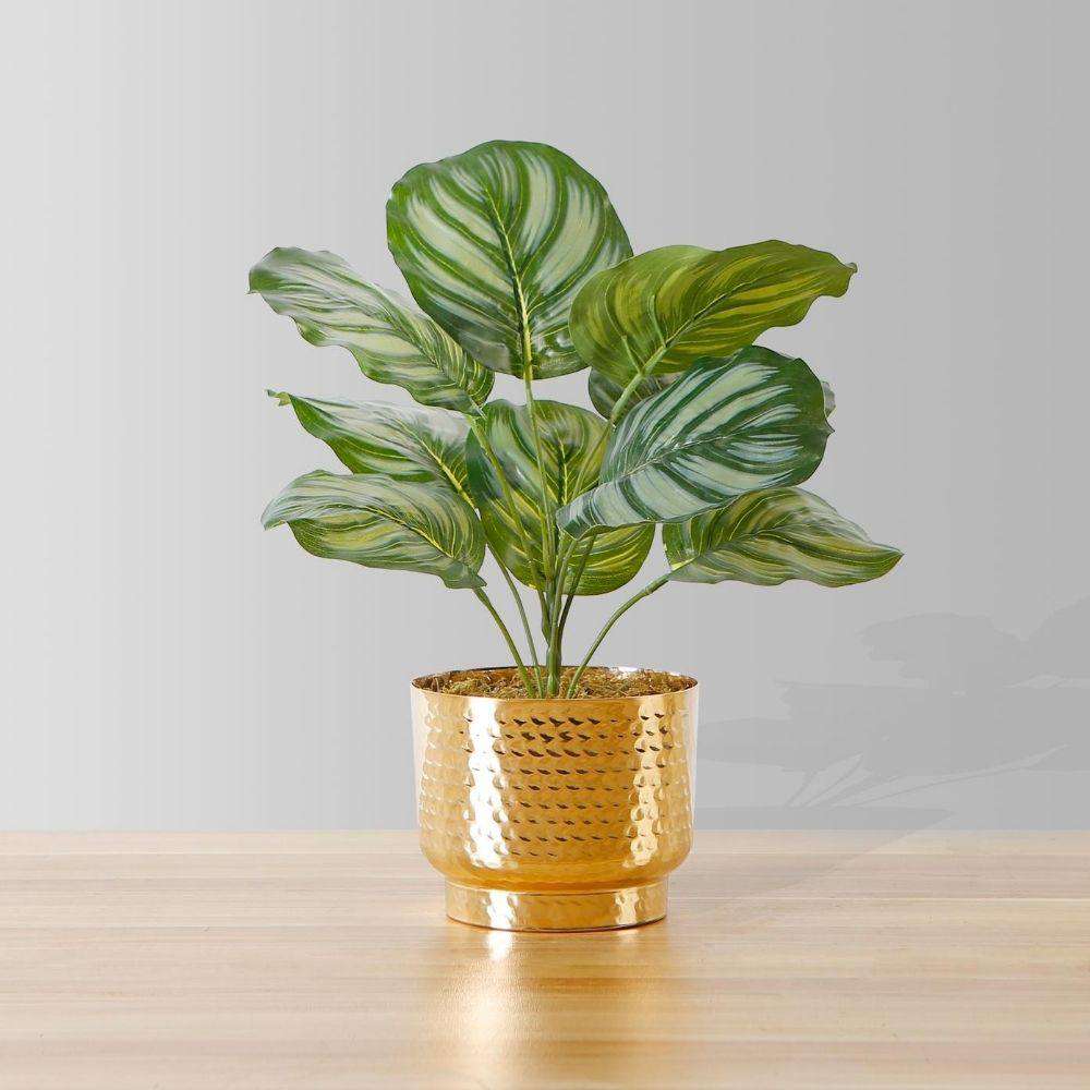 Calathea Faux Potted Plant