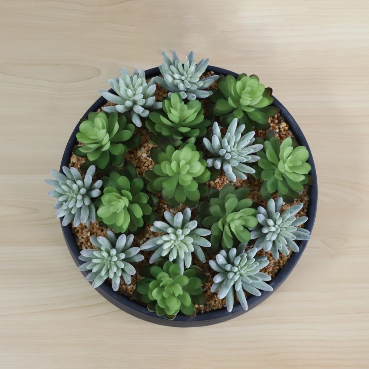 Kae Artificial Succulent Arrangement in Low Black Pot