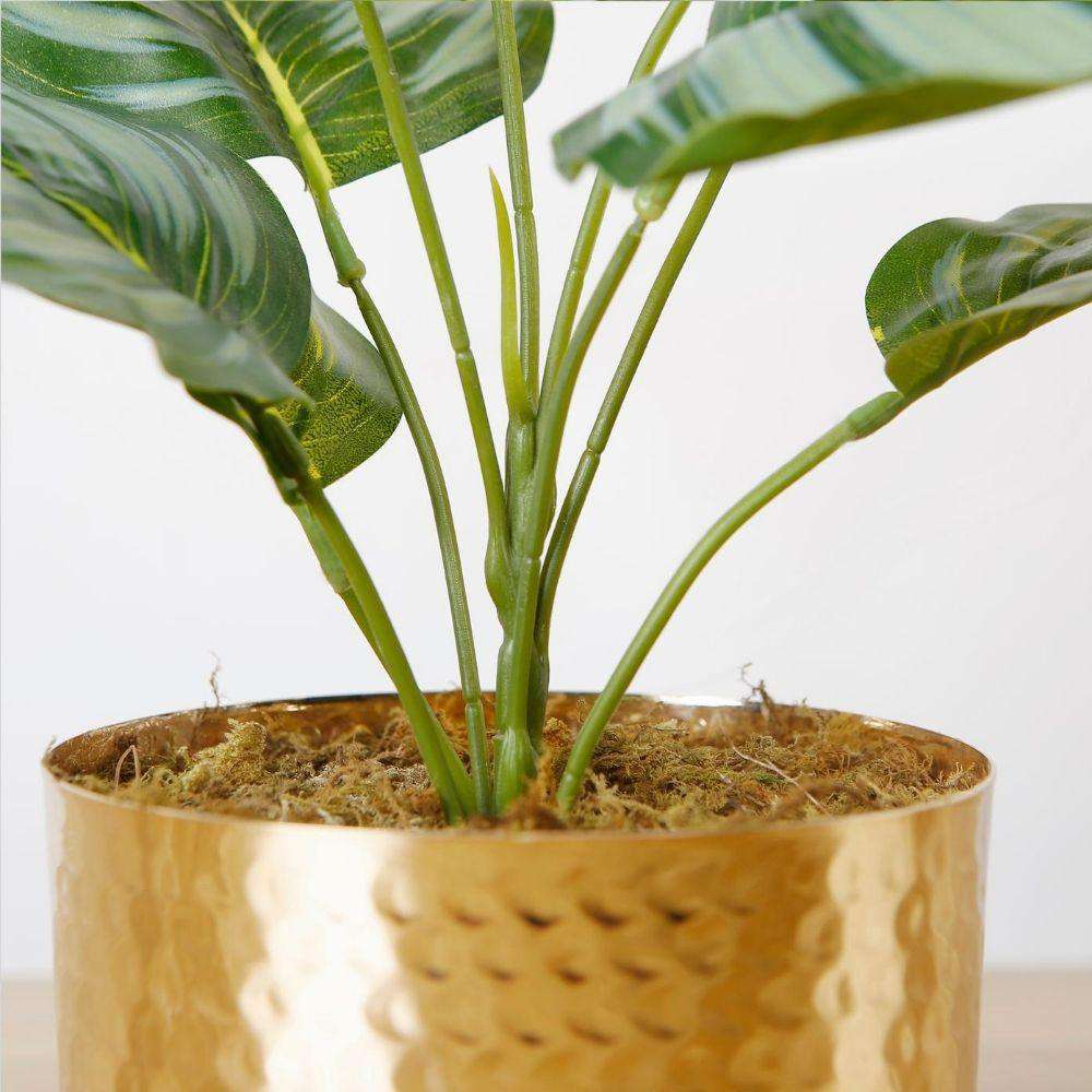 Calathea Faux Potted Plant