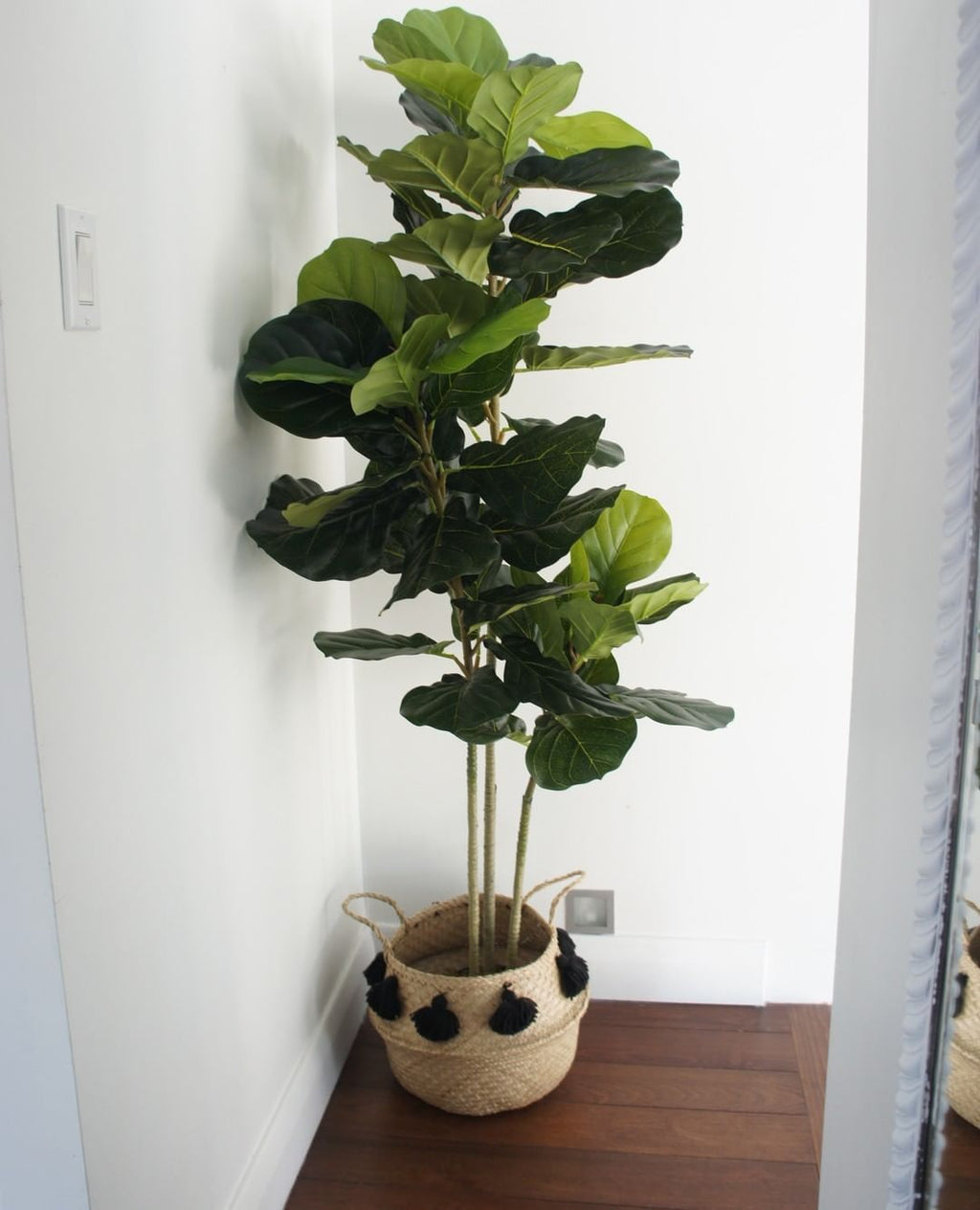 Alva Artificial Fiddle Leaf Potted Plant (Multiple Sizes)