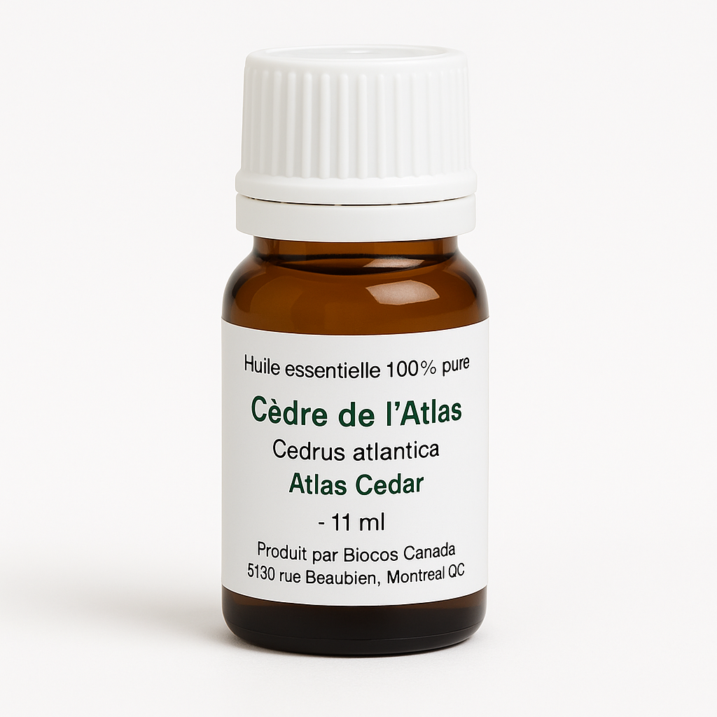 Cedro del Atlas