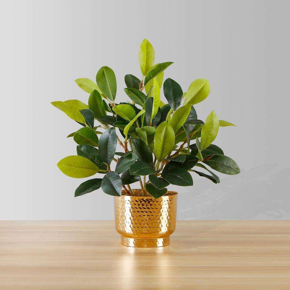 Moreno Potted Faux Watercress Plant