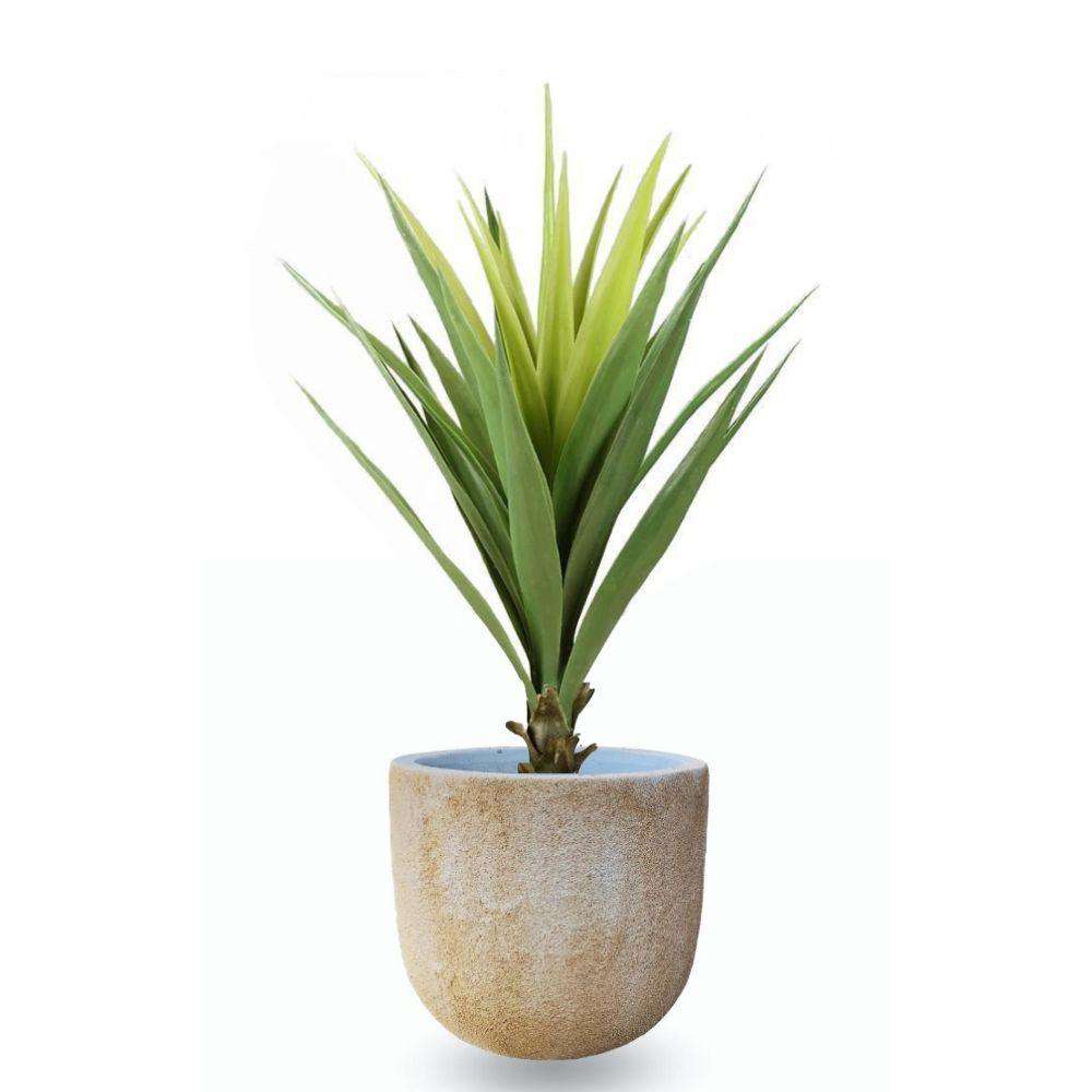 Trevi Cement Planter (Multiple Sizes)