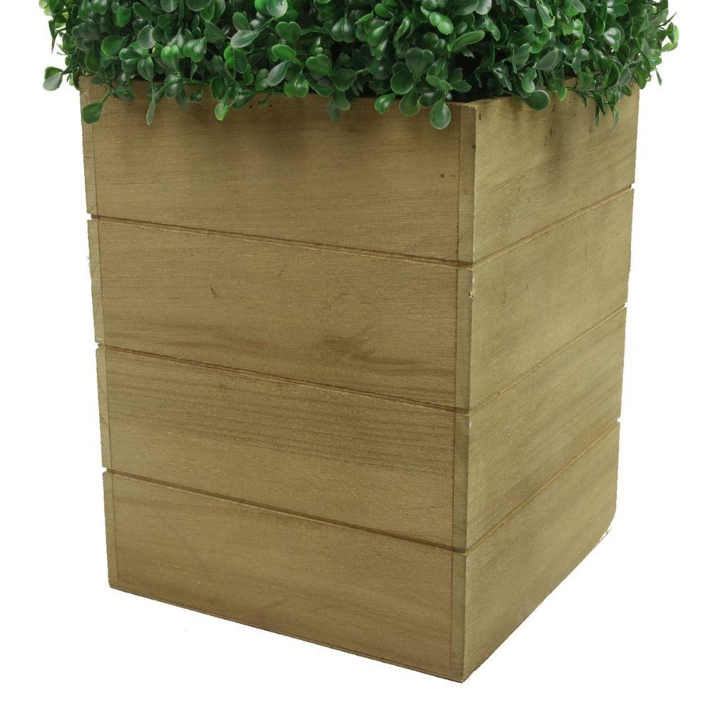 Mayer Potted Boxwood Topiary Plant (Multiple Sizes)