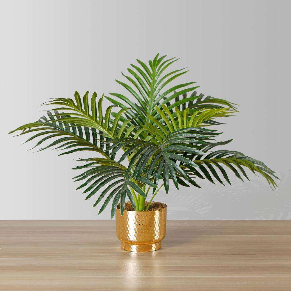 Paco Potted Faux Palm Plant