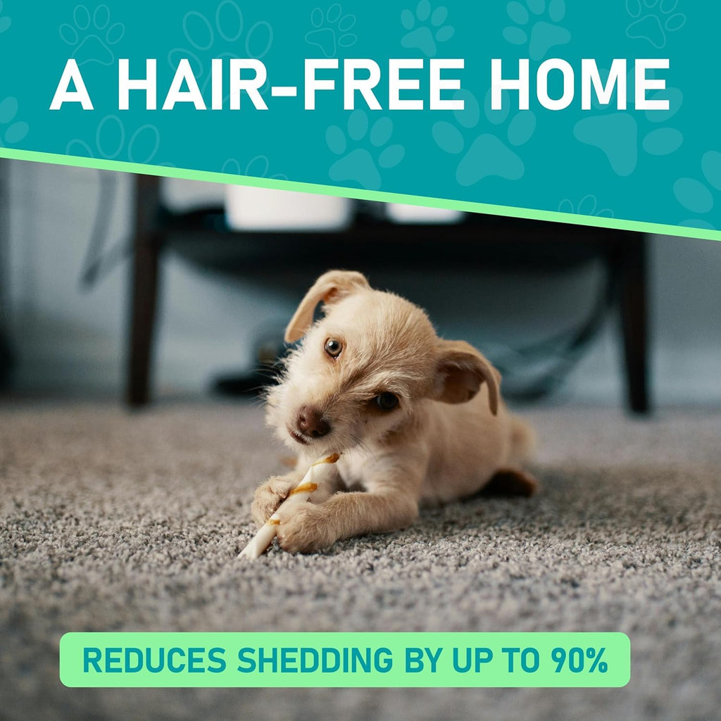 Maxpower Planet Pet Grooming Brush - Double Sided Shedding, Dematting (A1 Blue, Large) 🍁 All In One Marketplace Canada