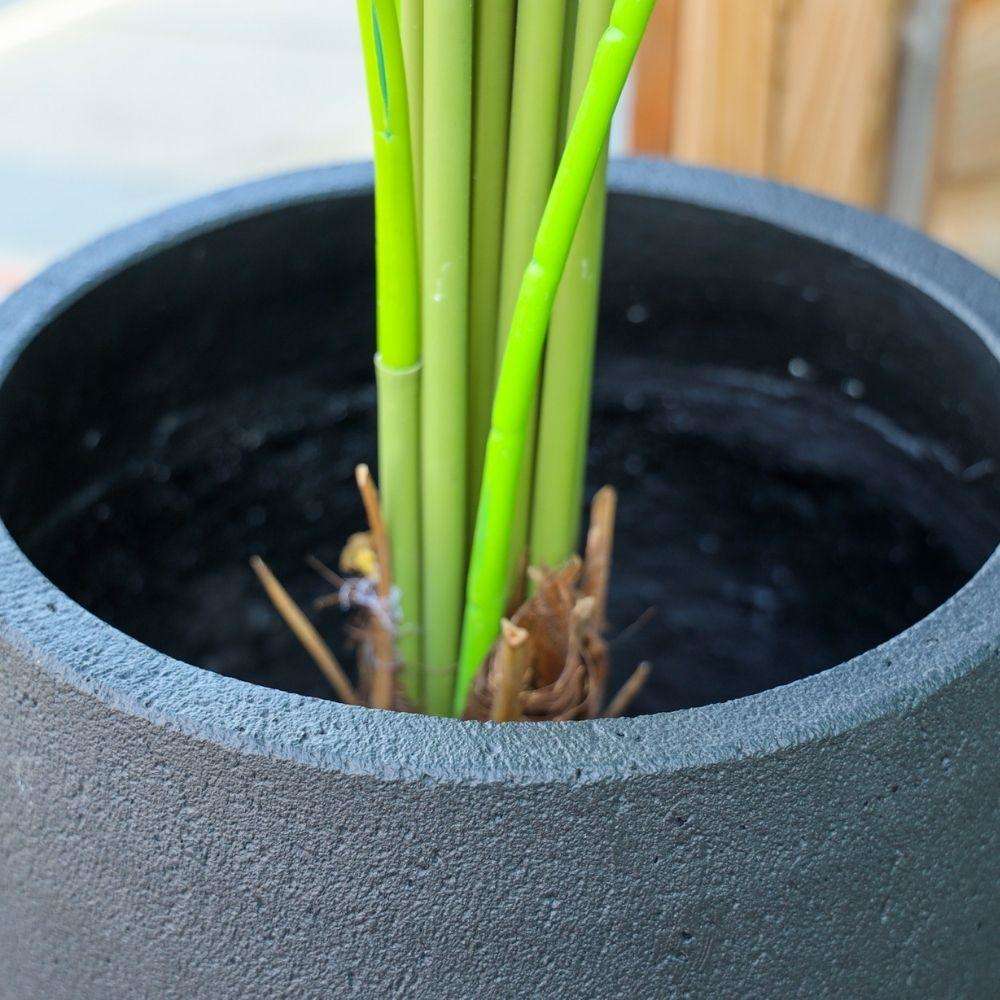Aba Black Cement Planter (Multiple Sizes)