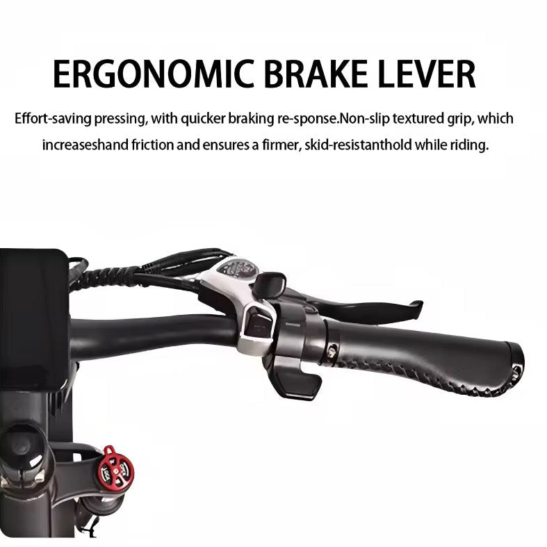 HEADEER 800W Powerful Off-Road Electric Scooter