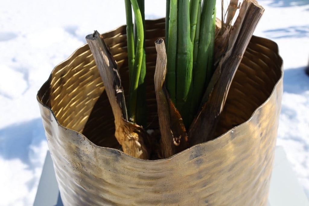 Poloma - Brass Basket Planter (Multiple Sizes)