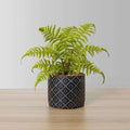 Bali Potted Faux Fern