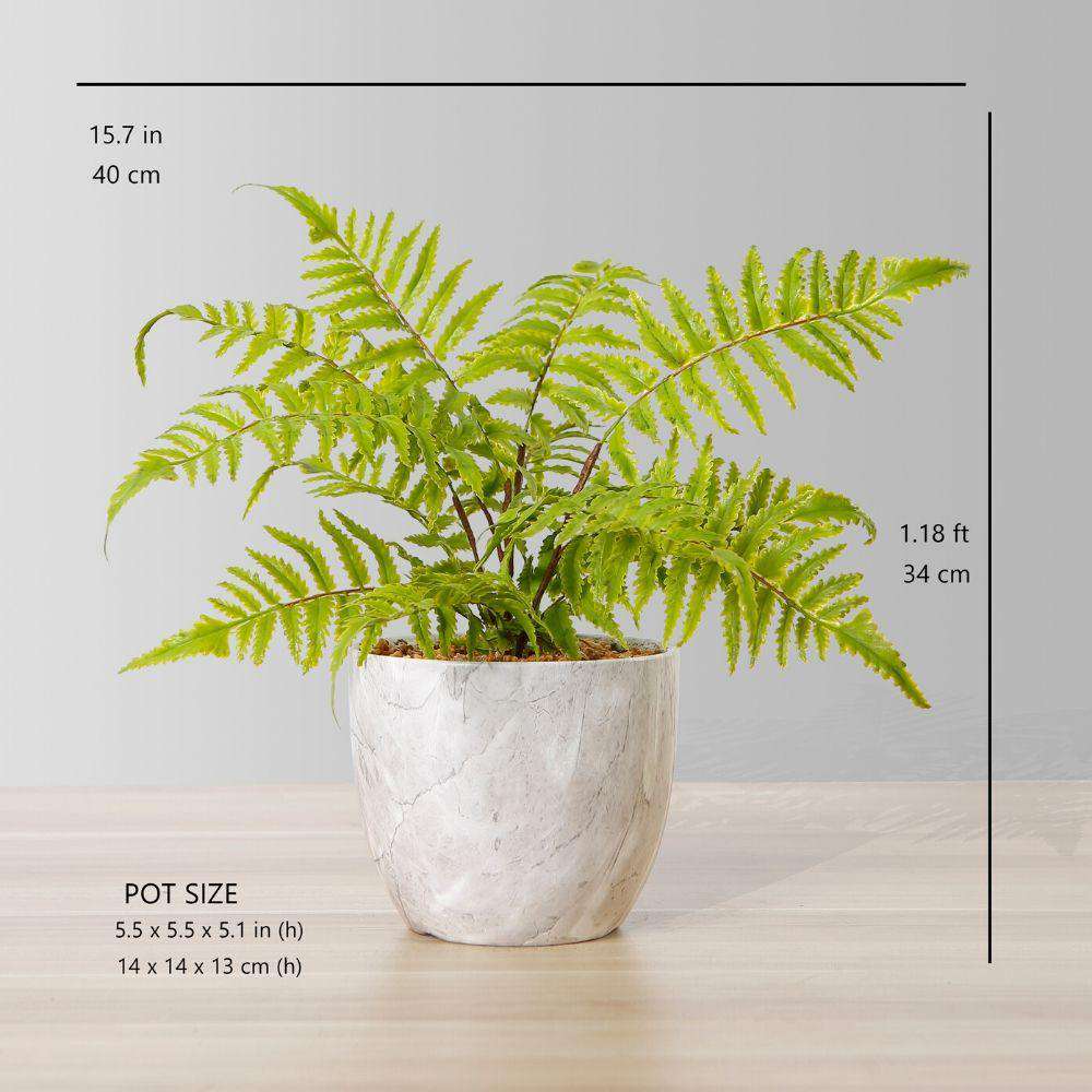 Bera Potted Faux Fern
