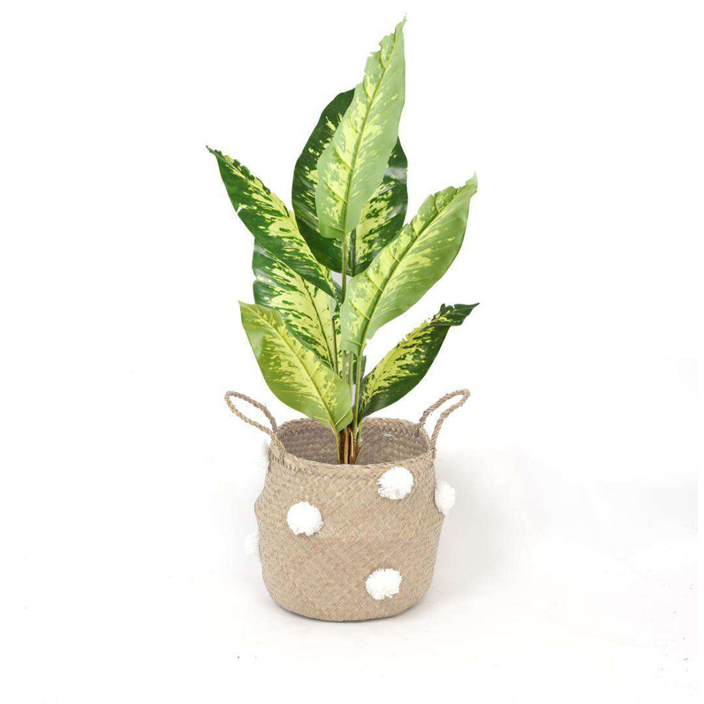 Bomba - Seagrass Basket With White Pompoms