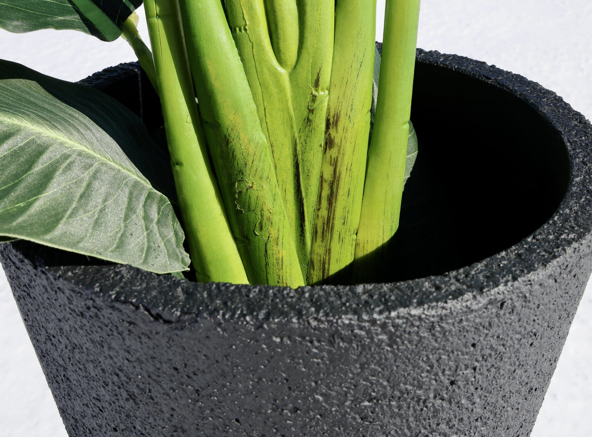 Vaneto Black Cement Planter (Multiple Sizes)