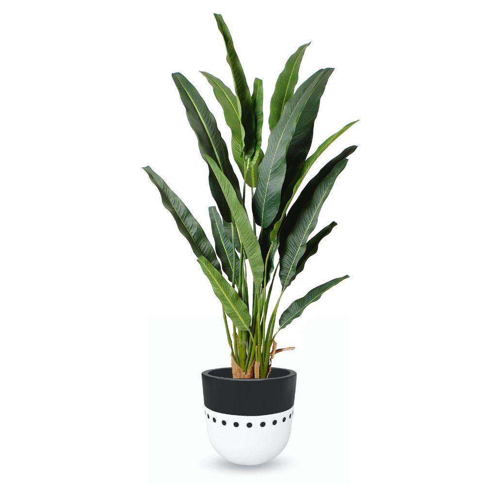 Cairo Cement Planter (Multiple Sizes)