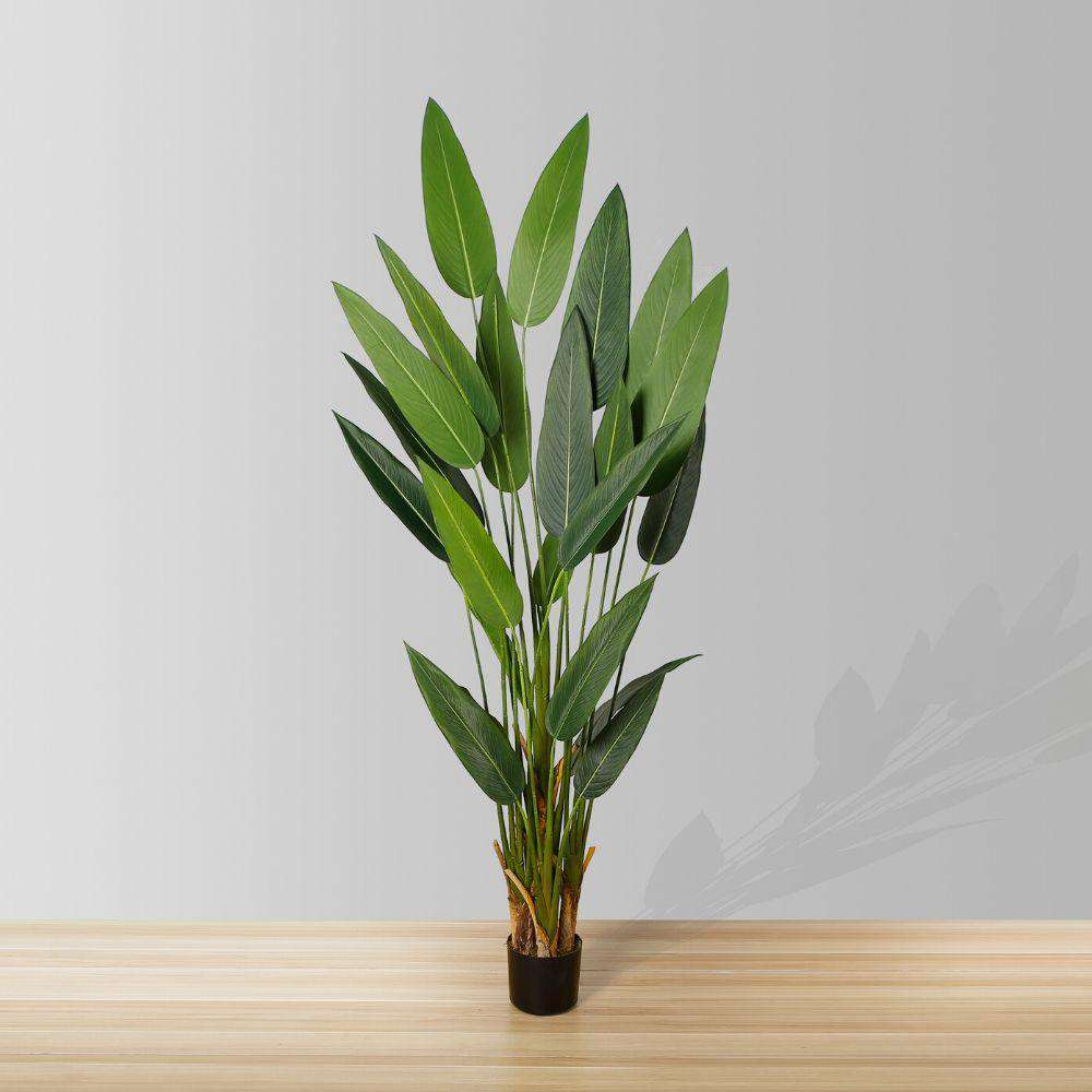 Cana Artificial Canna Potted Plant (Multiple Sizes)