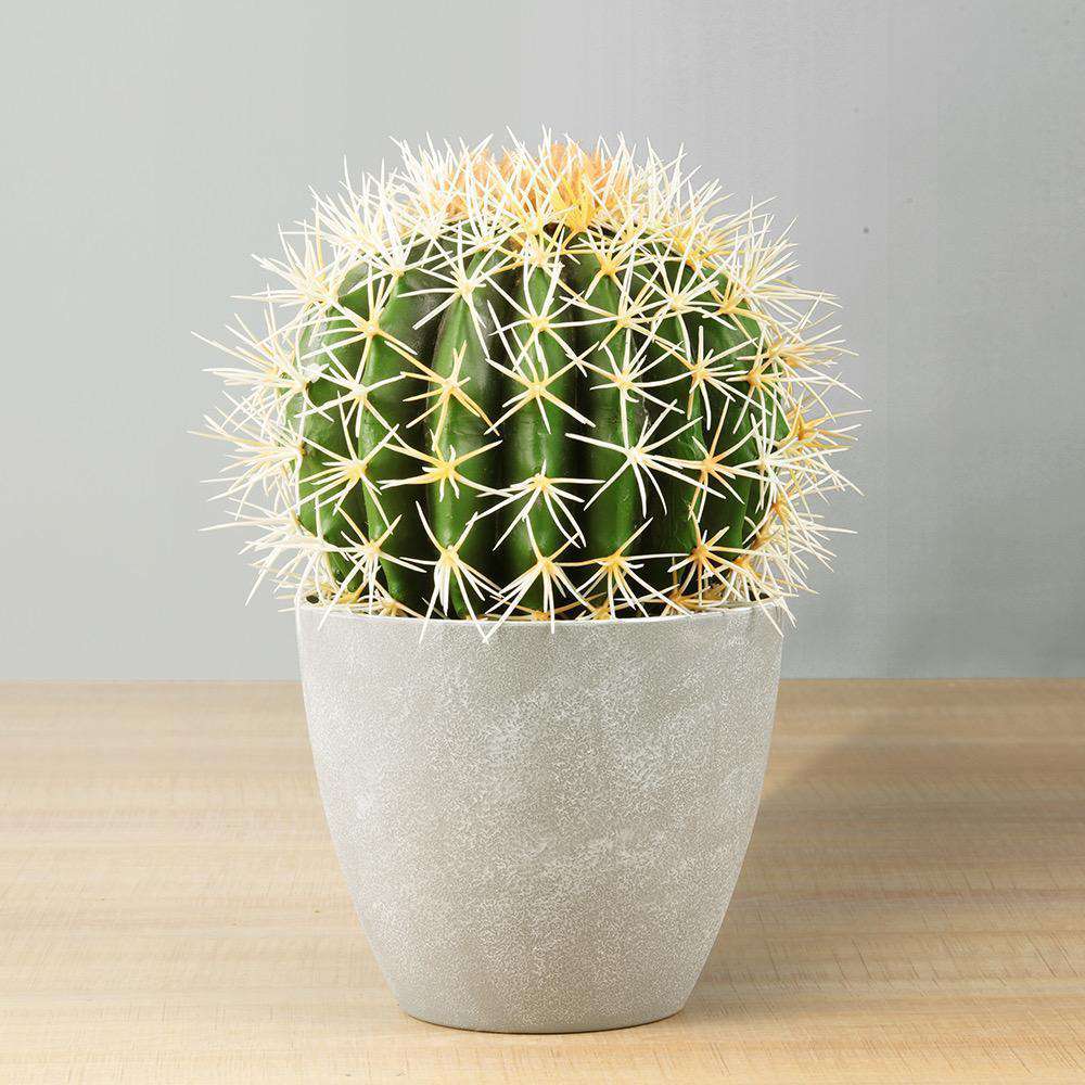 Coco Artificial Cactus Potted Plant 11"