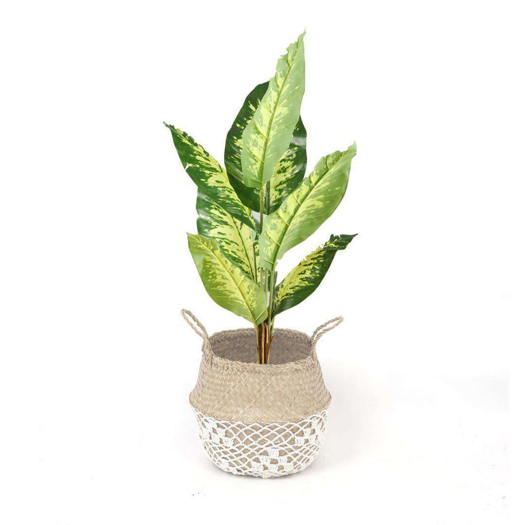 Costa - Seagrass Basket With White Net Pattern