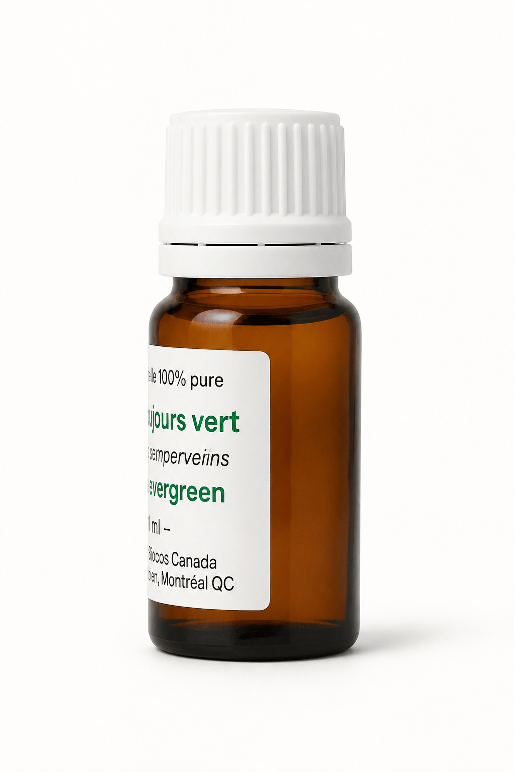 Ciprés siempre verde