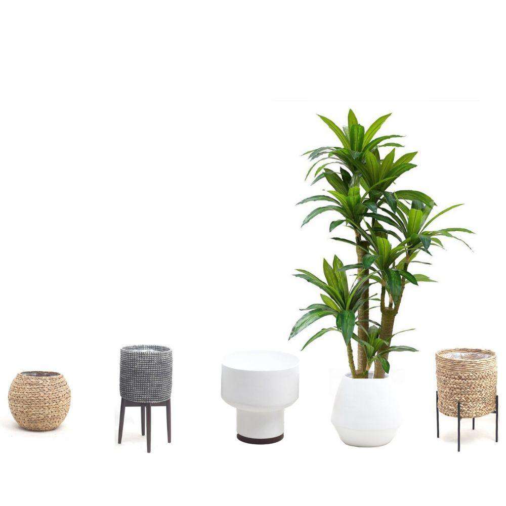 Dana Artificial Draecena Tree Potted Plant (Multiple Sizes)
