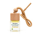 Diffuseur polyvalent ''Fraicheur''