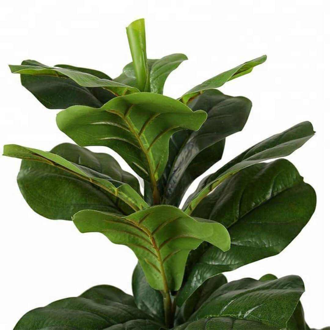 Fafa Artificial Fiddle Leaf Potted Plant (Multiple Sizes)