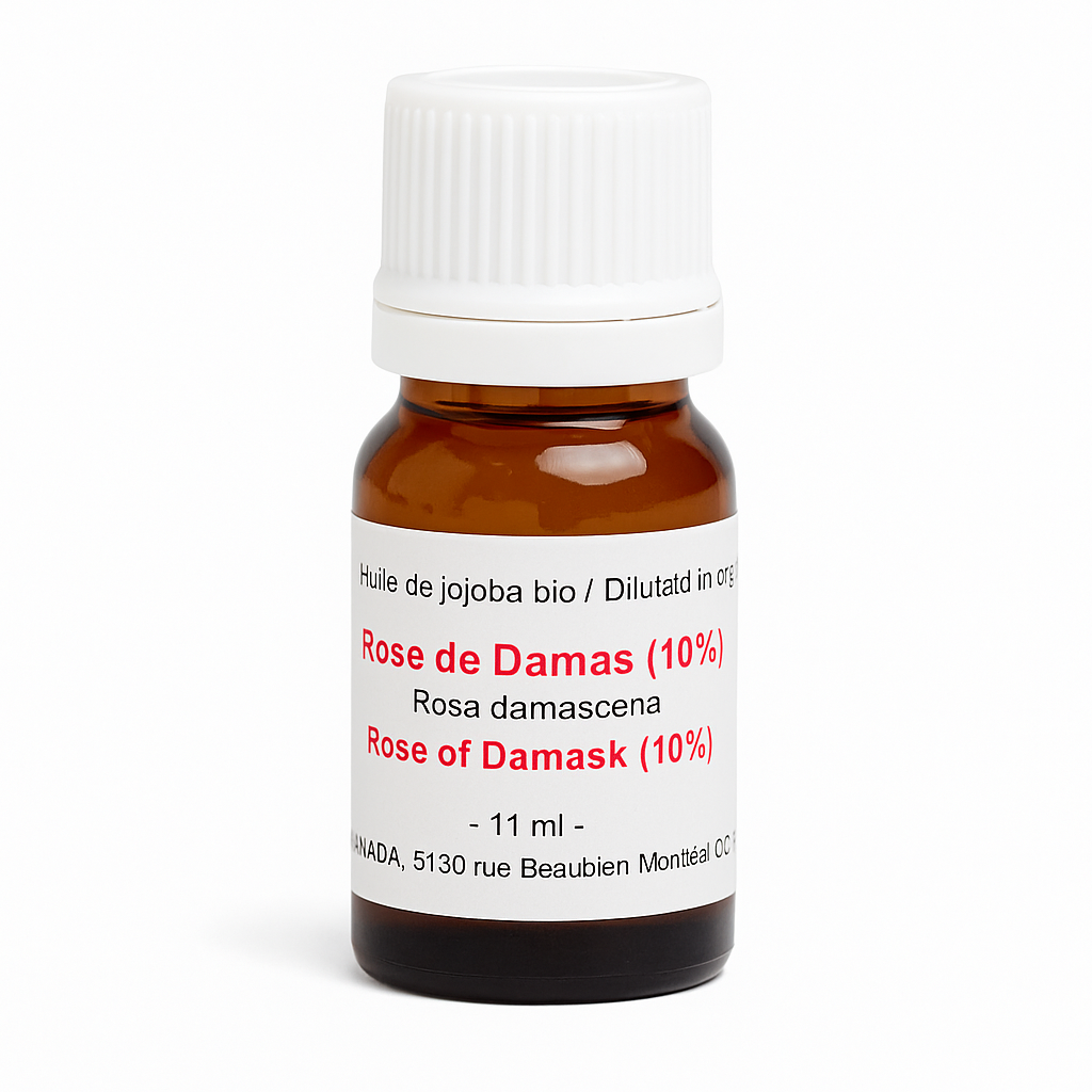 Damaszener-Rose