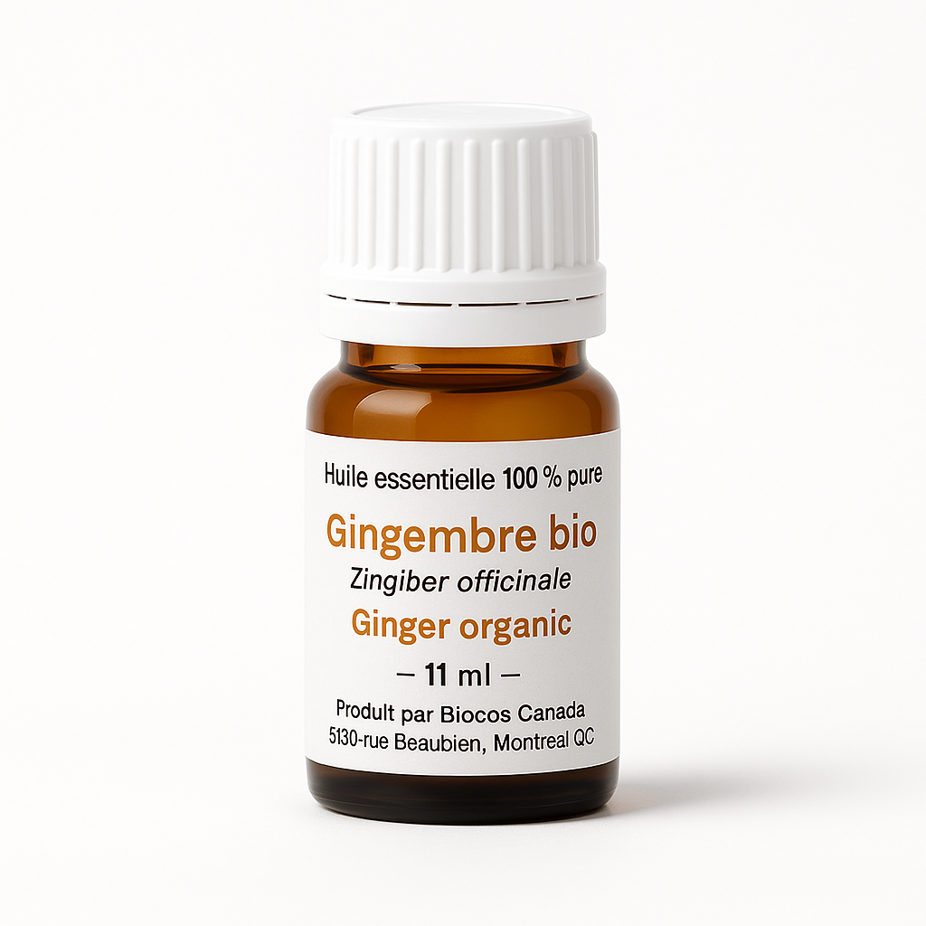 Bio-Ingwer
