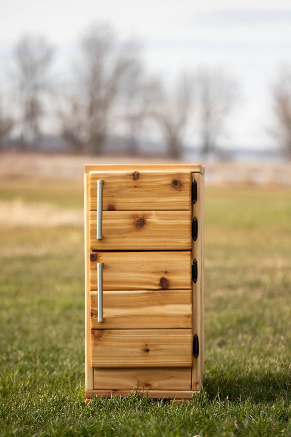 Mini Outdoor Fridge