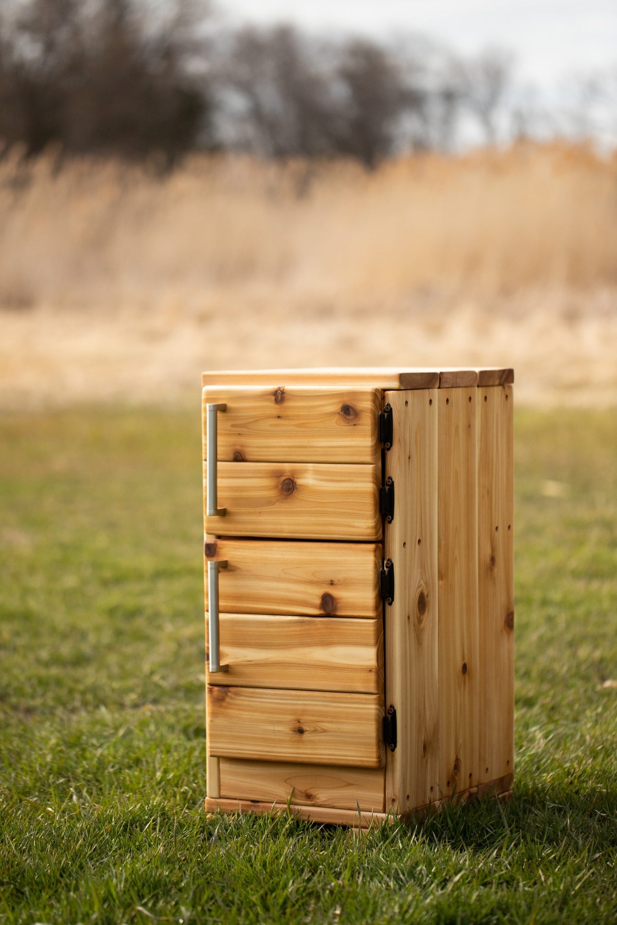 Mini Outdoor Fridge