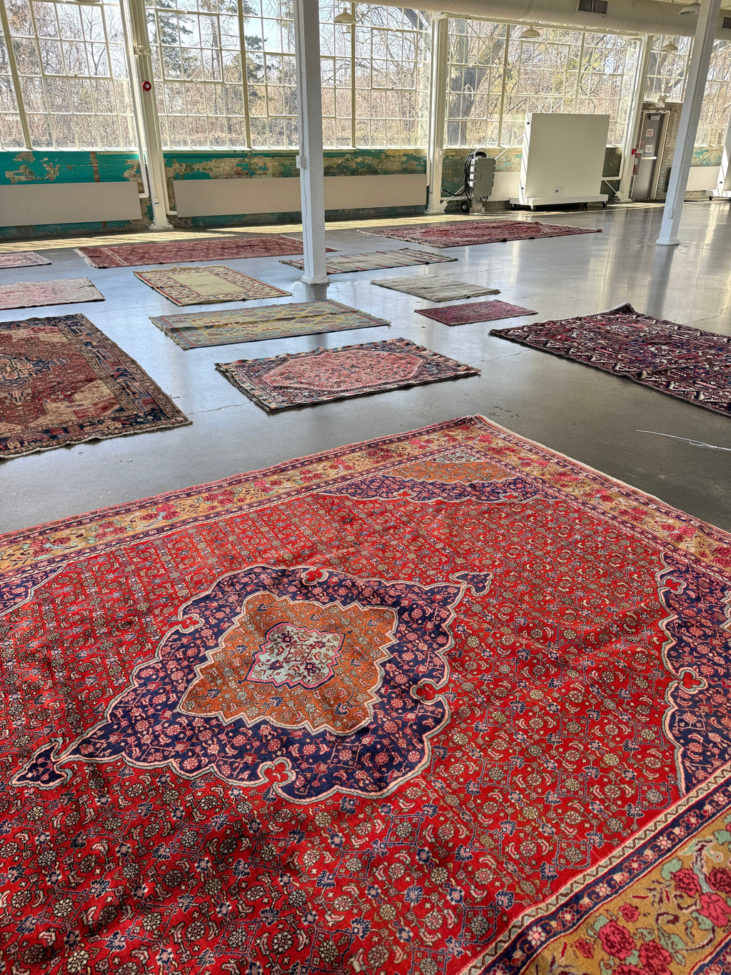 Persian Bidjar Rug — Mahi Field & Golden Gol Farang Border | 8'7" × 11'10"