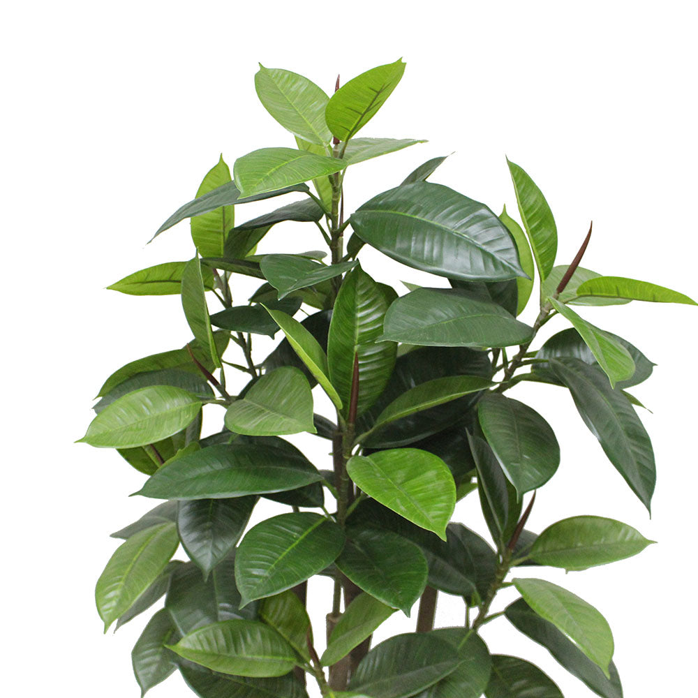 Encanto Artificial Rubber Potted Plant (Multiple Sizes)