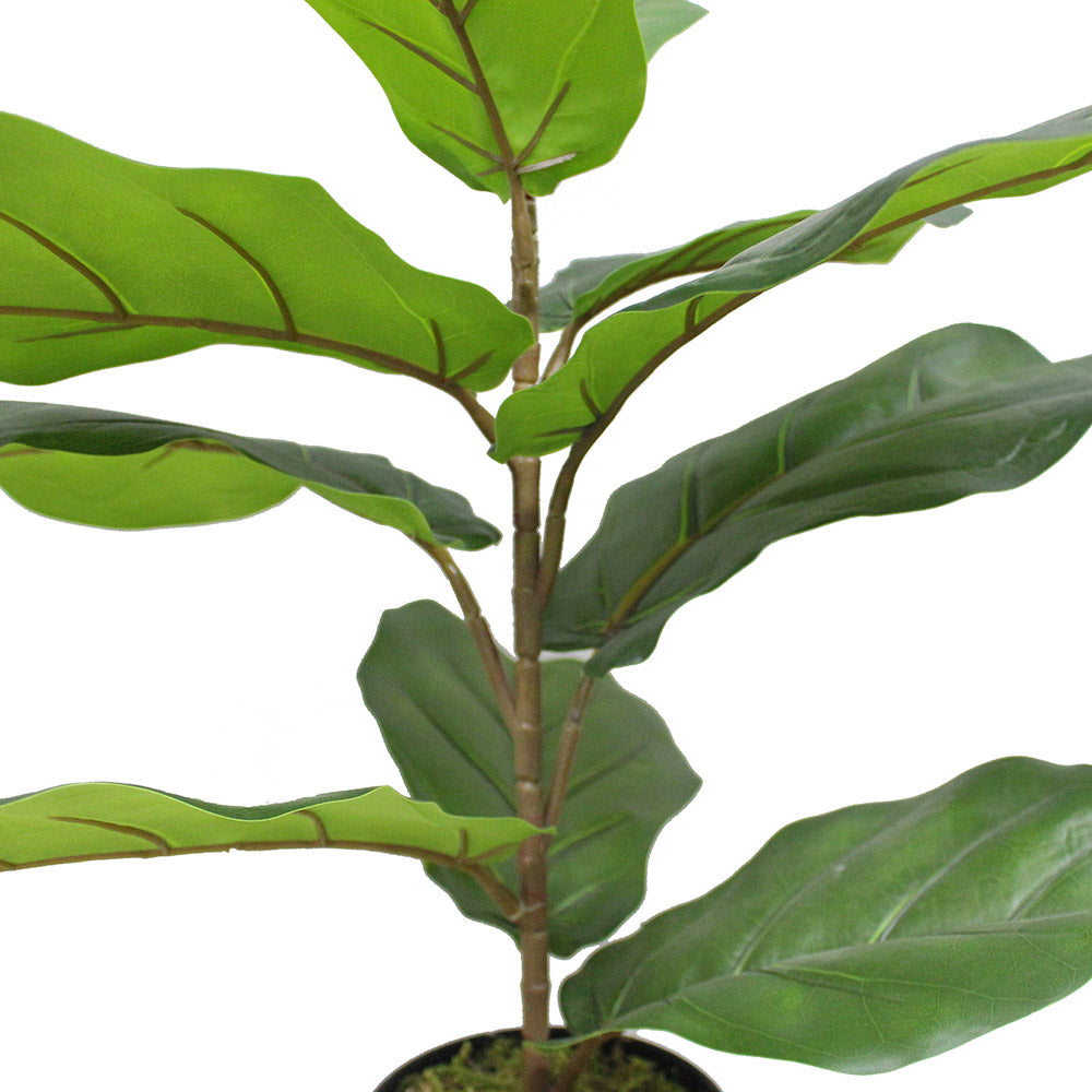 Anza Artificial Fiddle Leaf Potted Plant (Multiple Sizes)