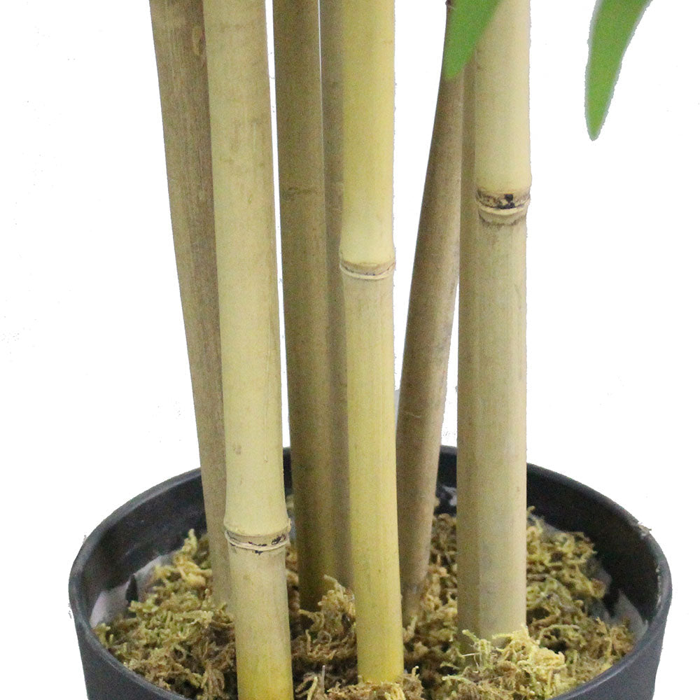 Ceja Artificial Korea Bamboo Potted Plant (Multiple Sizes)