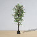 Olaya Artificial Ficus Potted Plant 6'