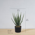 Guamo Artificial Aloe Vera Potted Plant (Multiple Sizes)