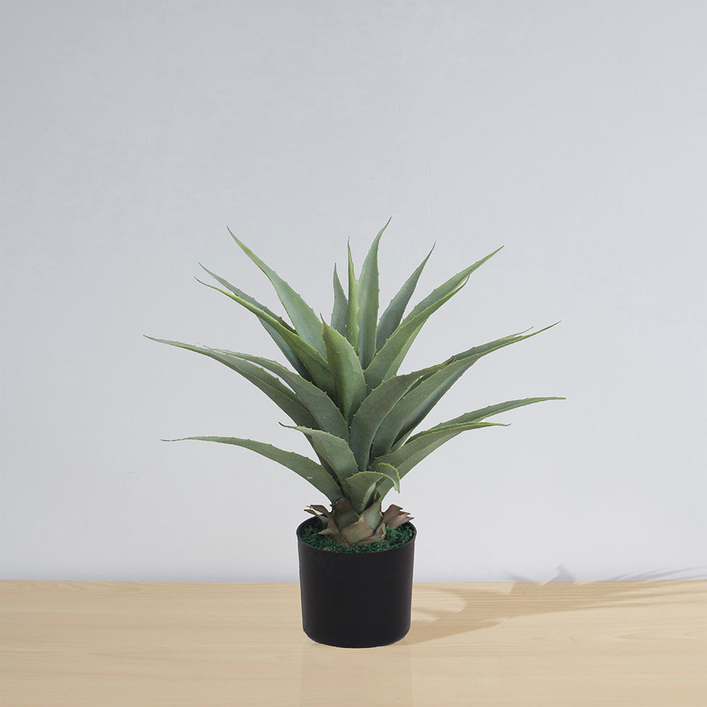 Tunja Artificial Century Potted Plant (Multiple Sizes)