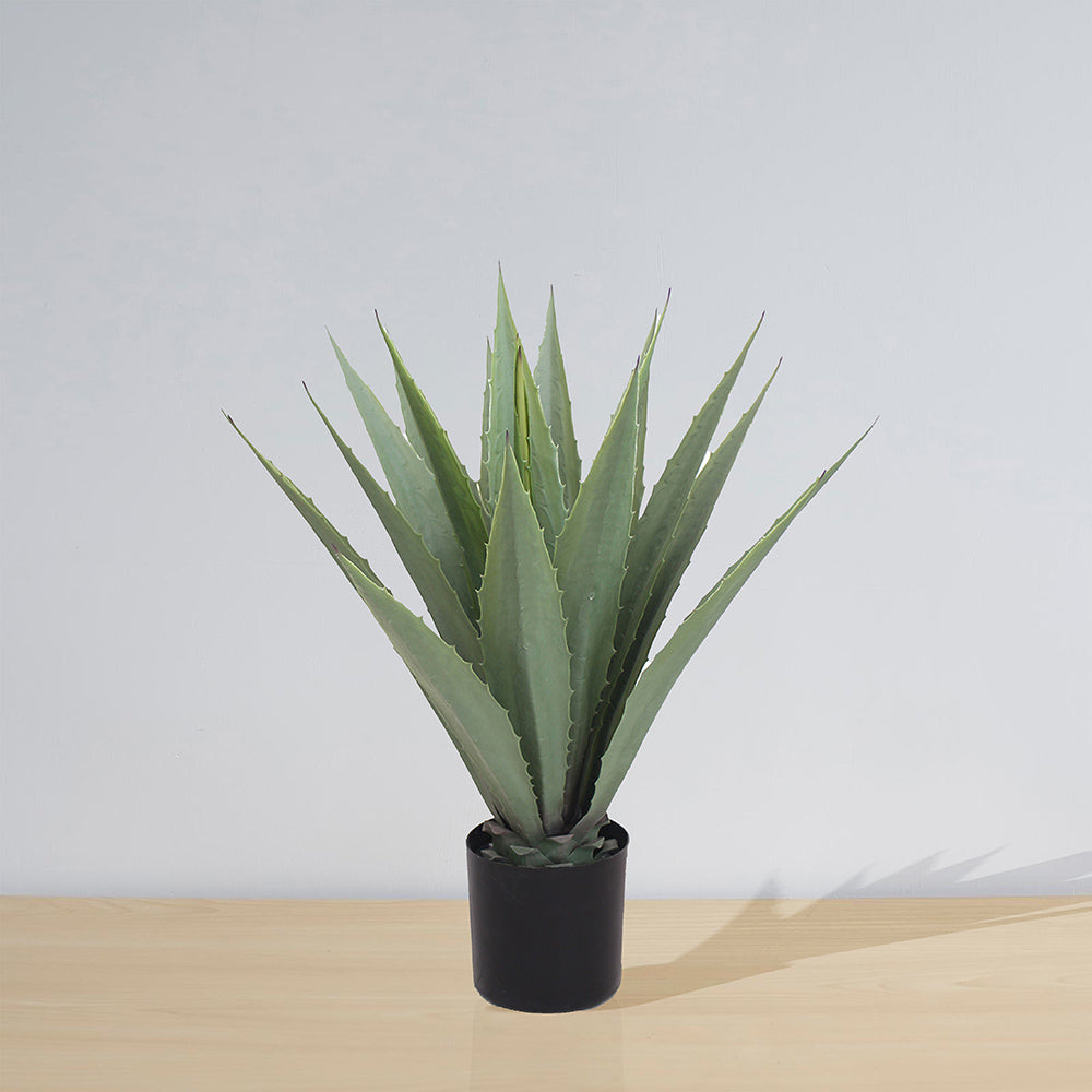 Tunja Artificial Century Potted Plant (Multiple Sizes)