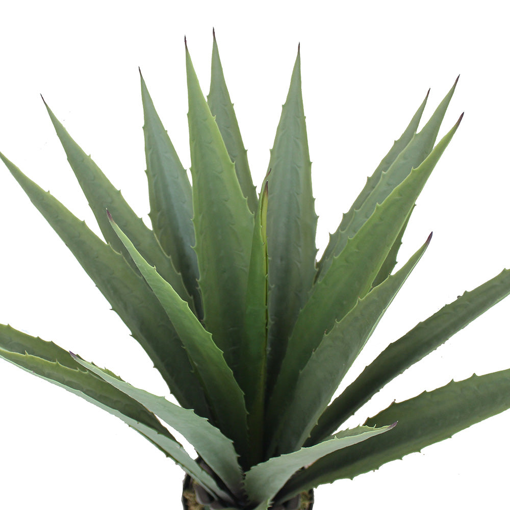 Tunja Artificial Century Potted Plant (Multiple Sizes)